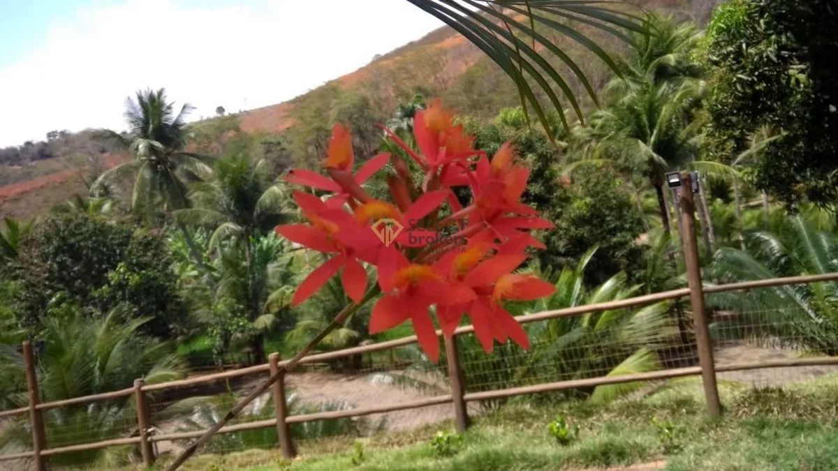 Chácara com 4 quartos, 15 de Outubro - Colatina - Foto 3