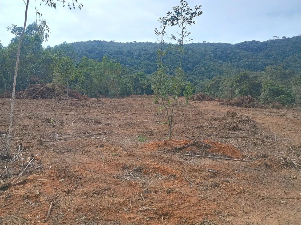 Chácara Itatiaiuçu  - Foto 3