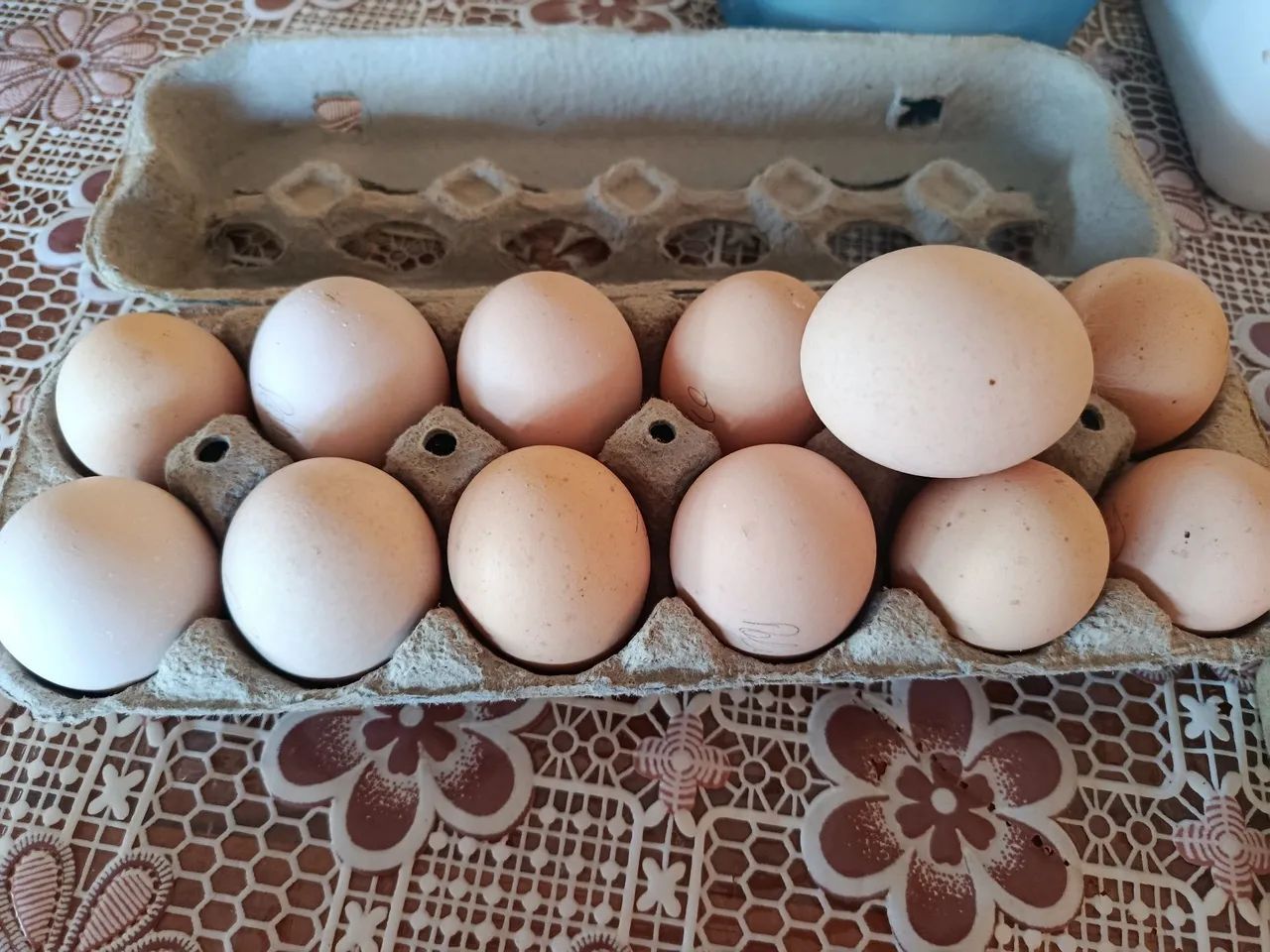 Ovos