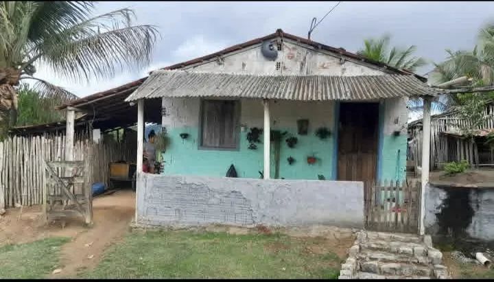Sitio a venda  - Foto 3