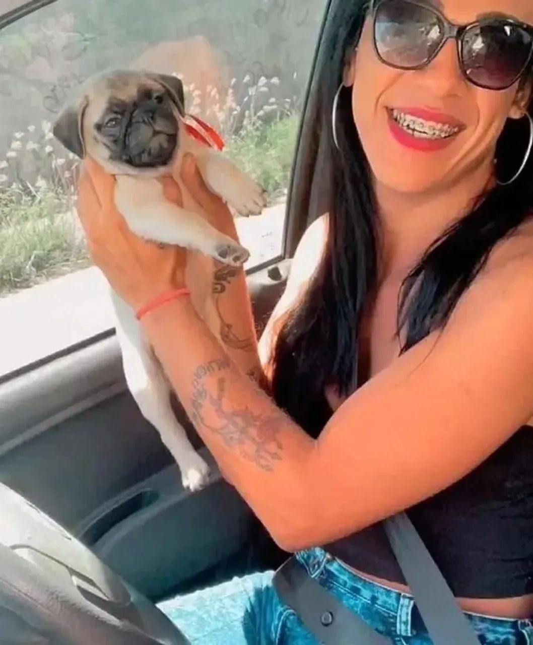 Pug