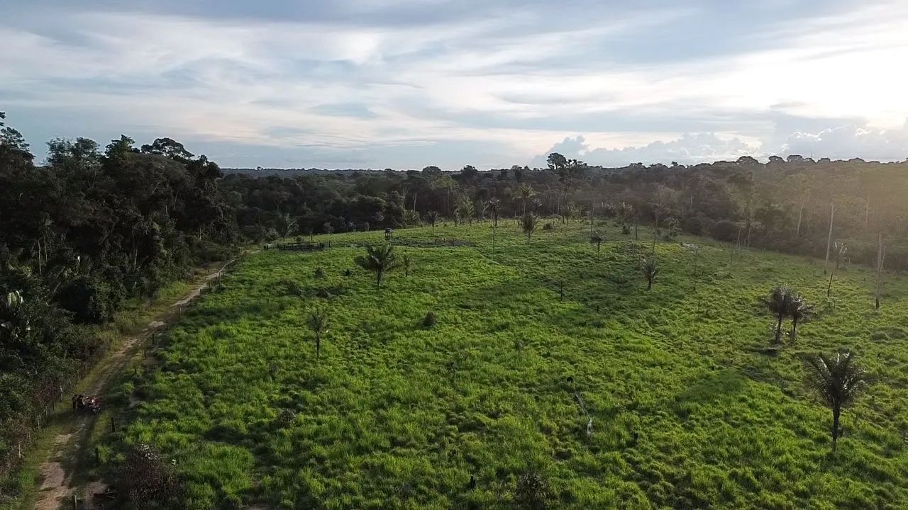 Drone Dji Mini 3 Standard (sem Tela) Br - DJI038 - Foto 6