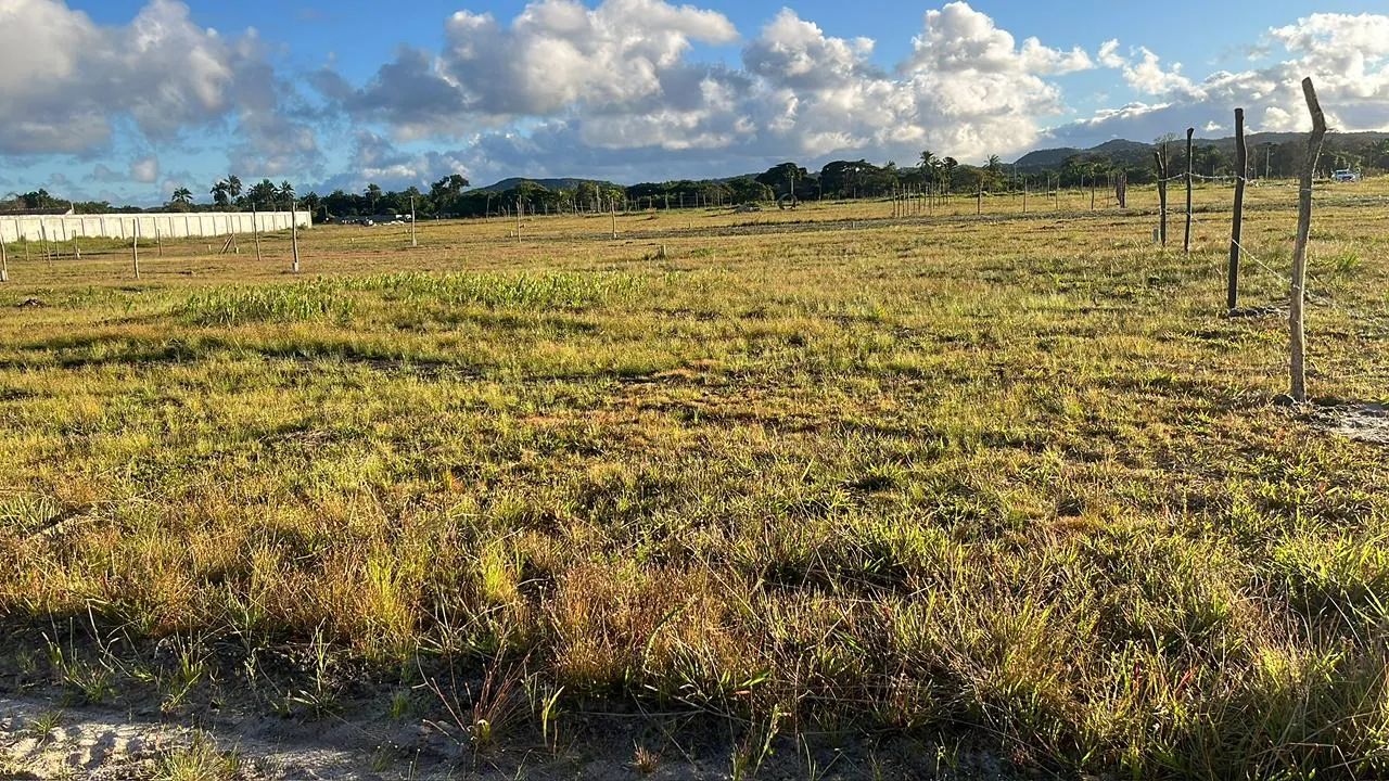Terreno  - Foto 2