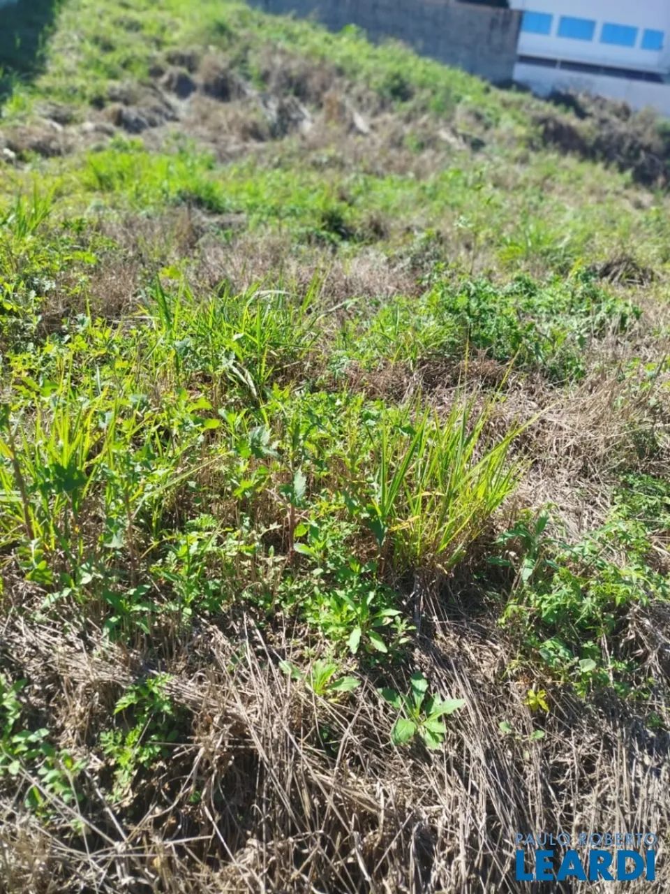 TERRENO - RESIDENCIAL SÃO LUIZ - SP - Foto 5