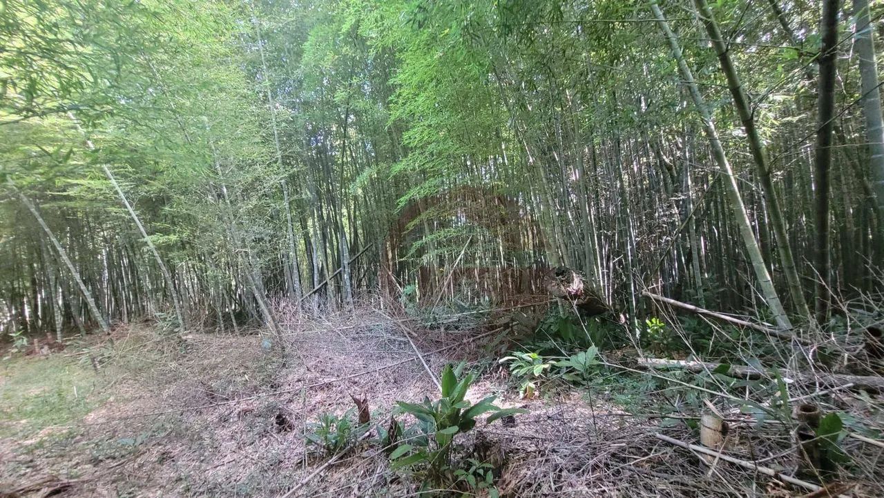 LINDO SITIO EM VARGEM GRANDE PAULISTA. - Foto 5