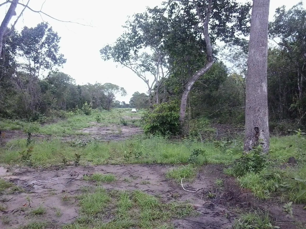 Lote no Araguaia - Foto 5