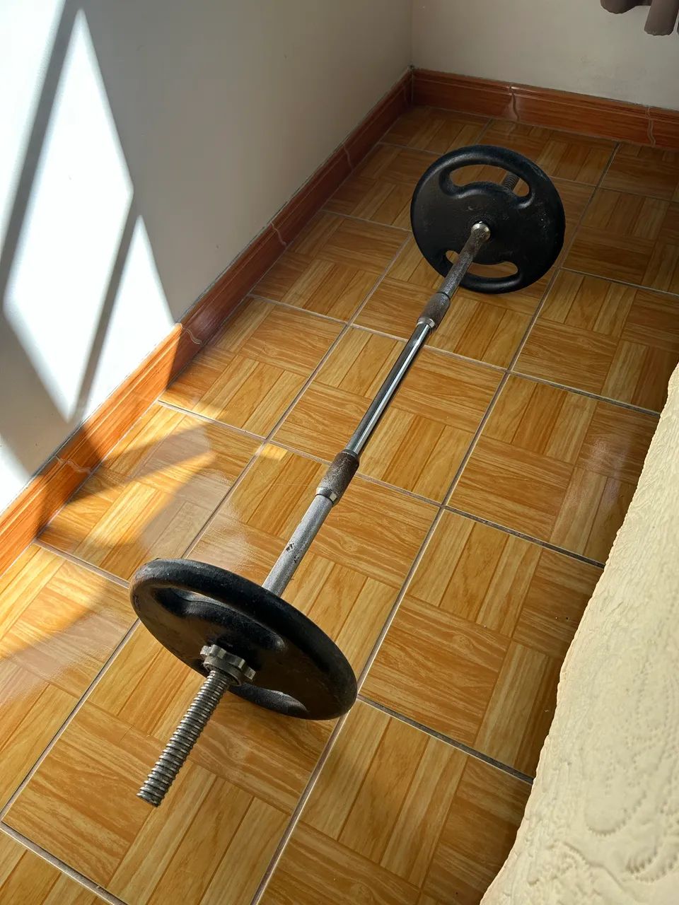 kit halter de academia 30kg
