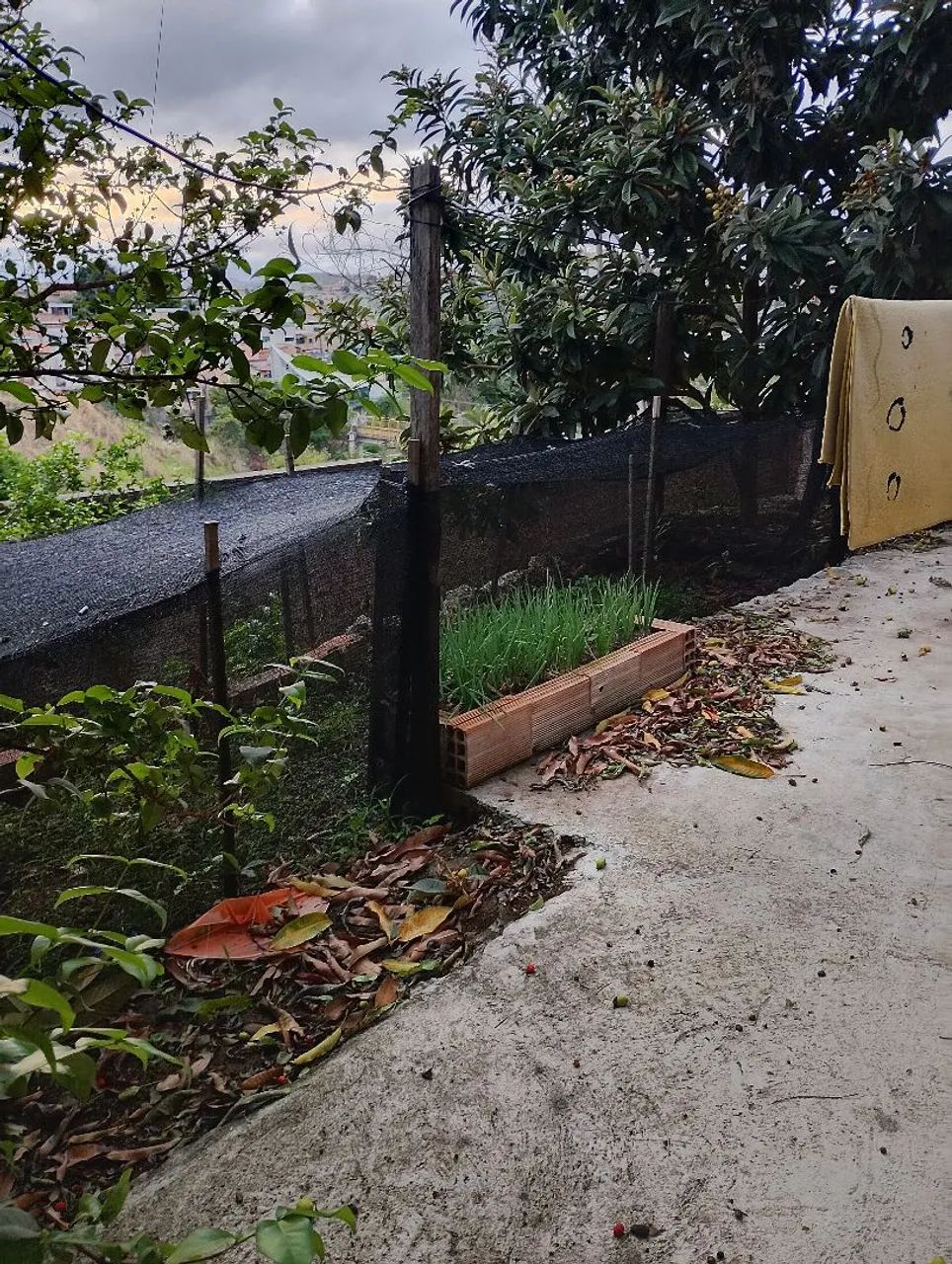 Casa com quintal grande  - Foto 2