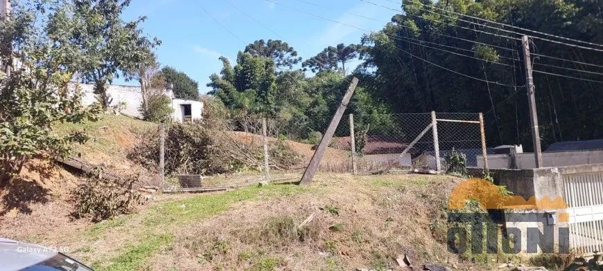 Terreno Em Colombo - Foto 2