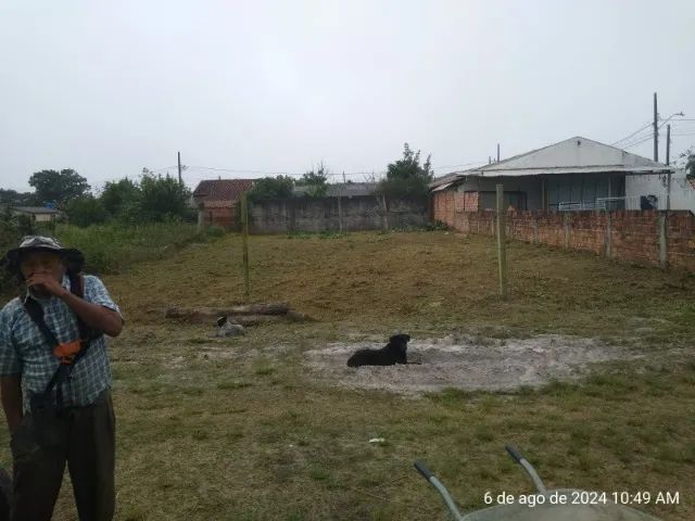 terreno 297 m2,  12 x 24,75 - Foto 3