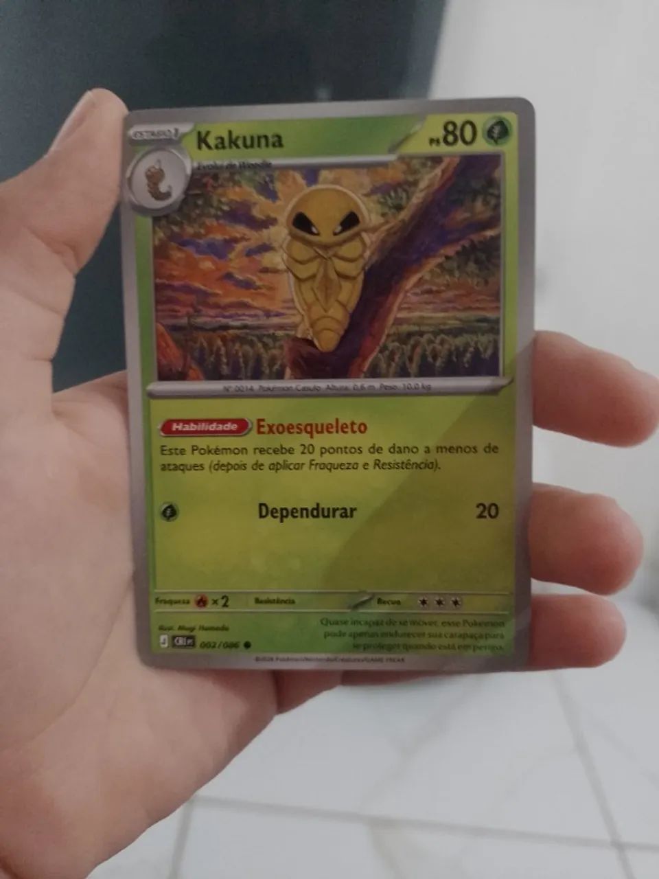 Cartas Pokémon 