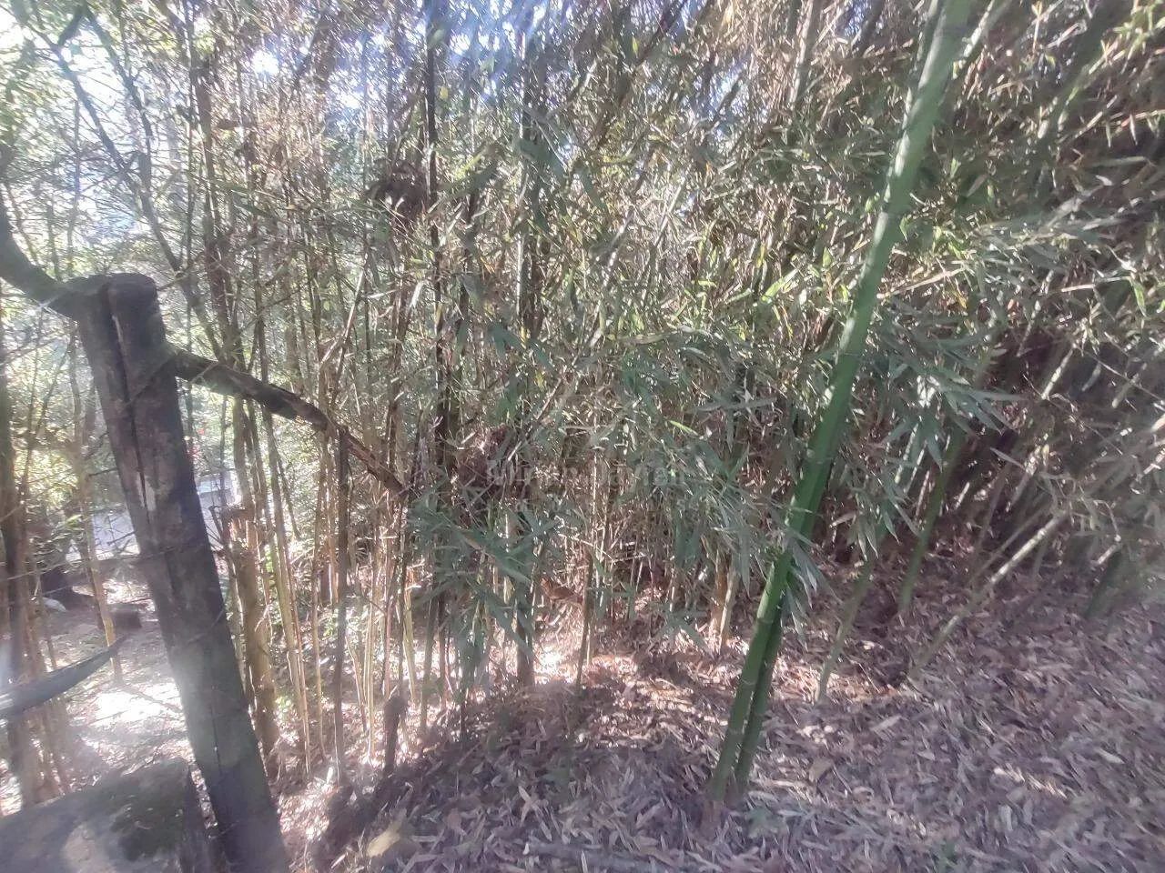 Lote em condomínio Vila del Rey anexo - Foto 2