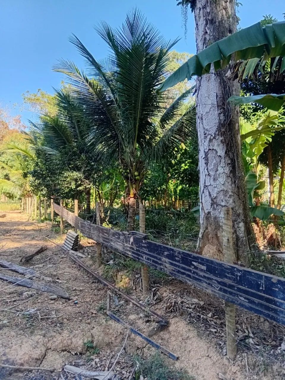 Vende-se uma chácara de 494m² - Foto 3