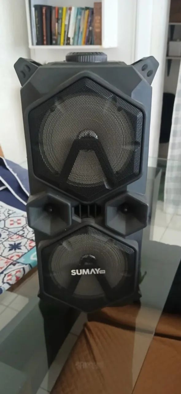 Caixa de Som Amplificada