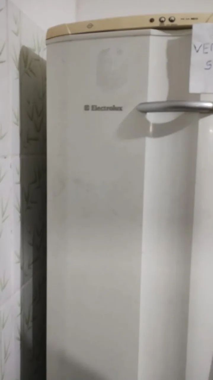 Frizeer Eletrolux 