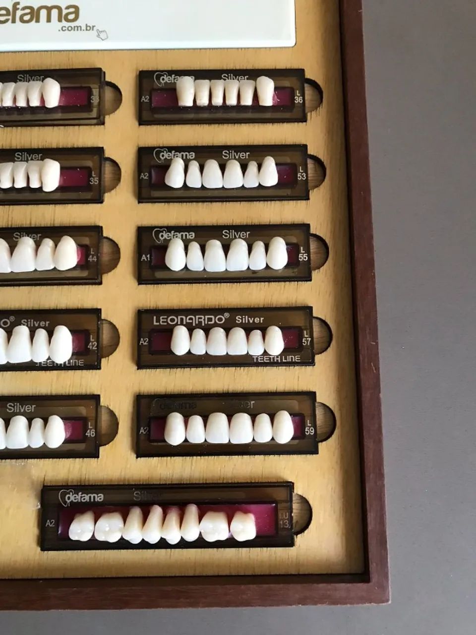 Quadro com Dentes Leonardo e Escala Defama - Foto 3