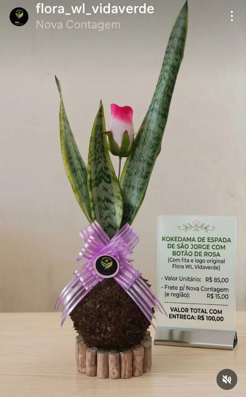 KOKEDAMAS  - Foto 3