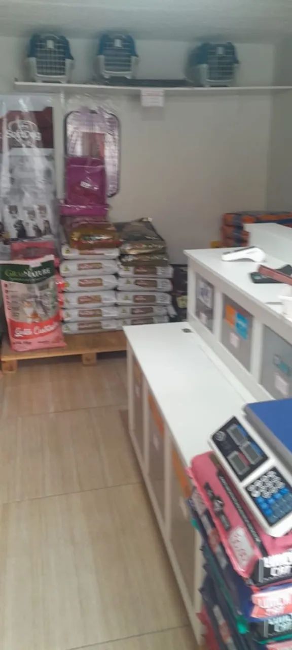 Vende-se aviario completo.  - Foto 3