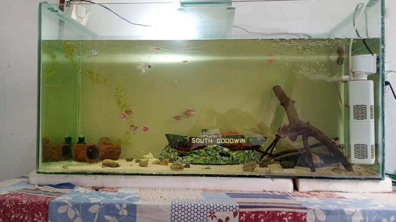 Aquário de 200L com acessórios 