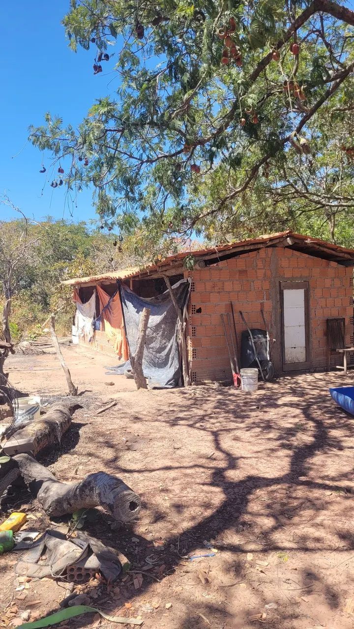 Sitio a  venda - Foto 5