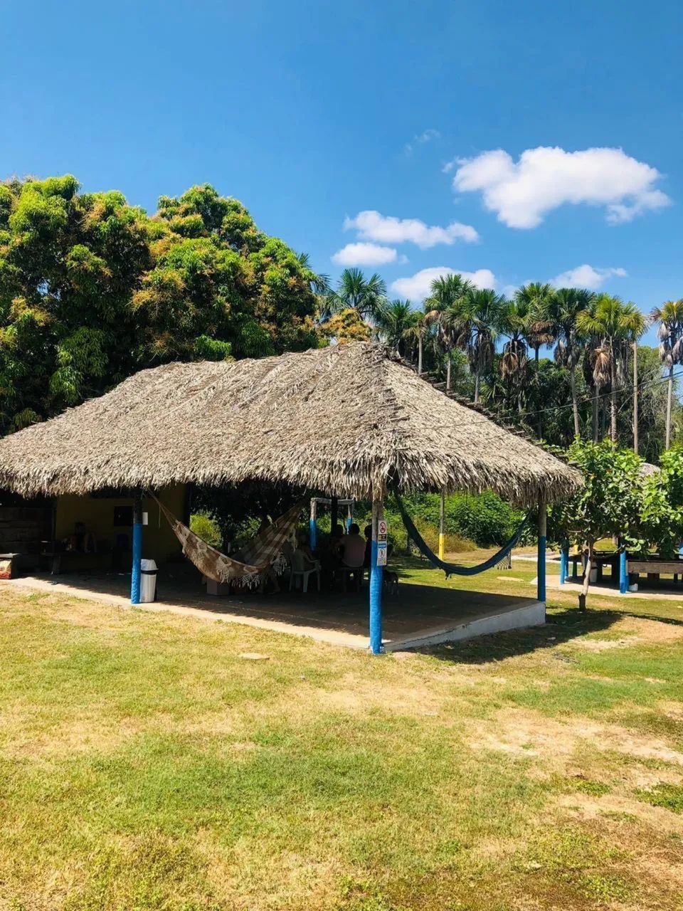 Vila Cajueiro - Lotes à Venda  - Foto 2