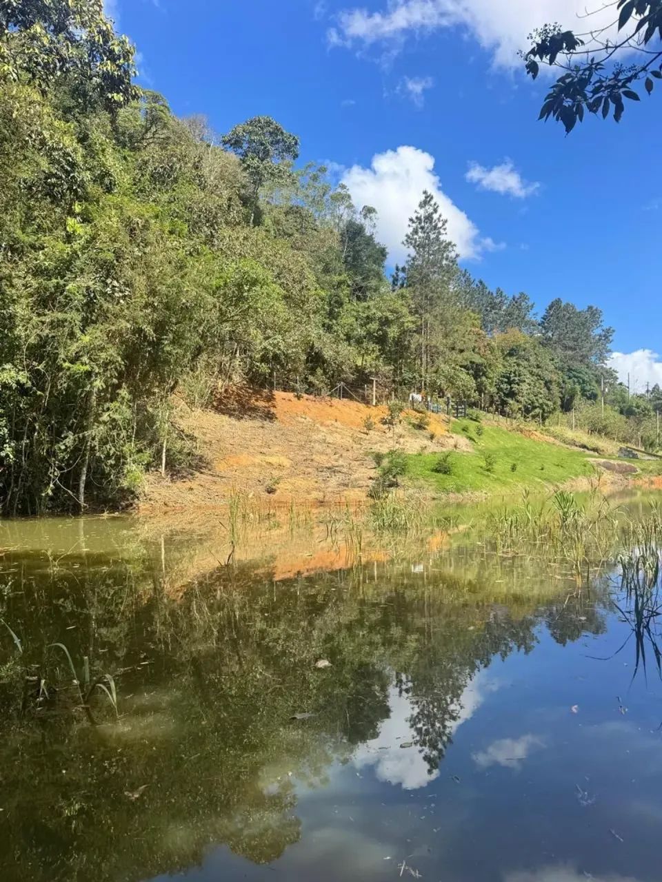 Propriedade com rio, represa e casa em Santa Teresa Es - Foto 3
