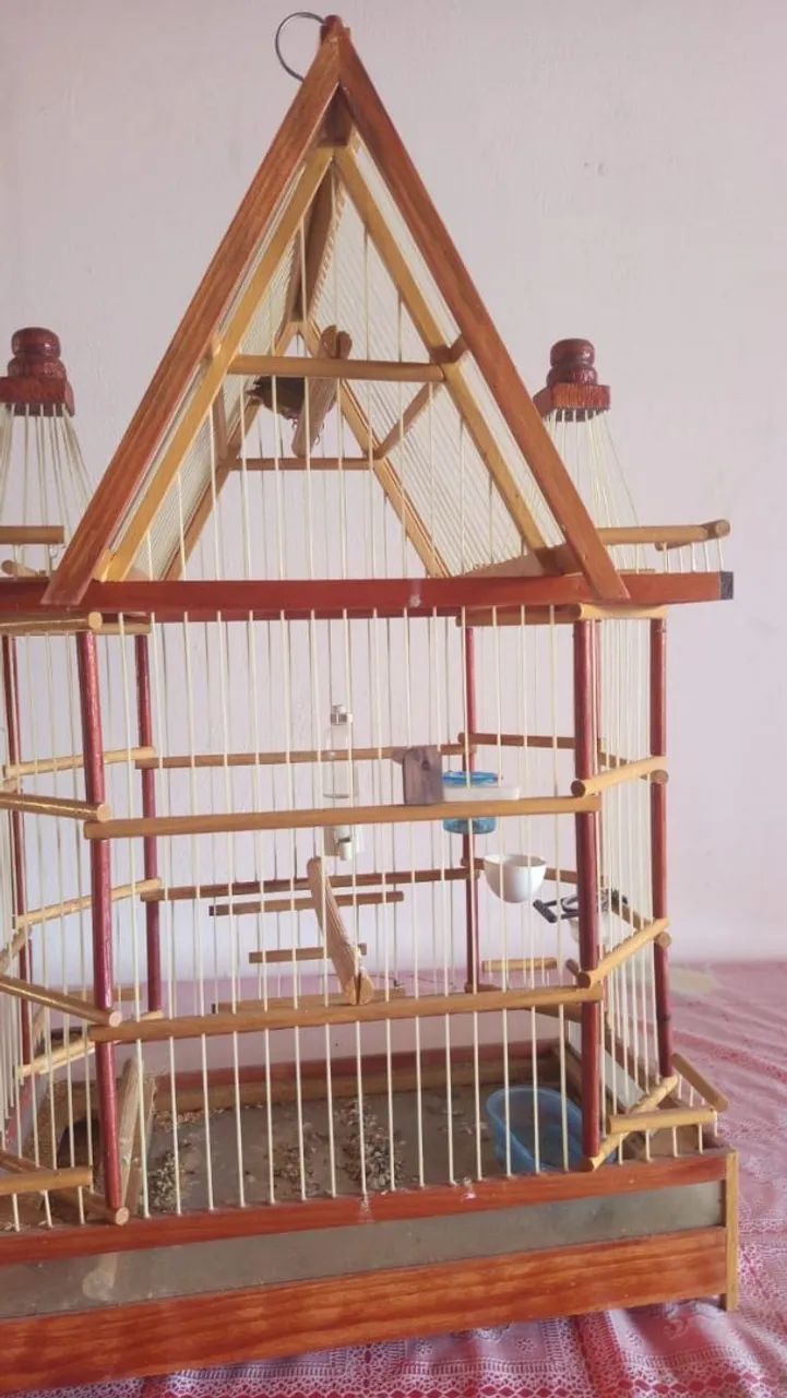 vende se uma gaiola e um curio - Foto 3