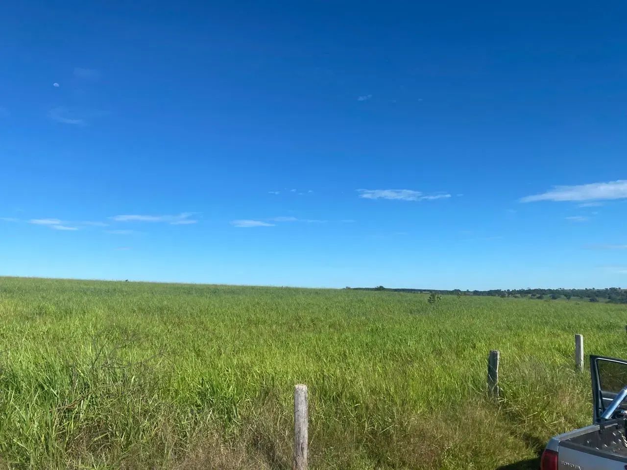 FAZENDA À VENDA  APTIDÃO CANA, PECUÁRIA E EUCALIPTO - Foto 4