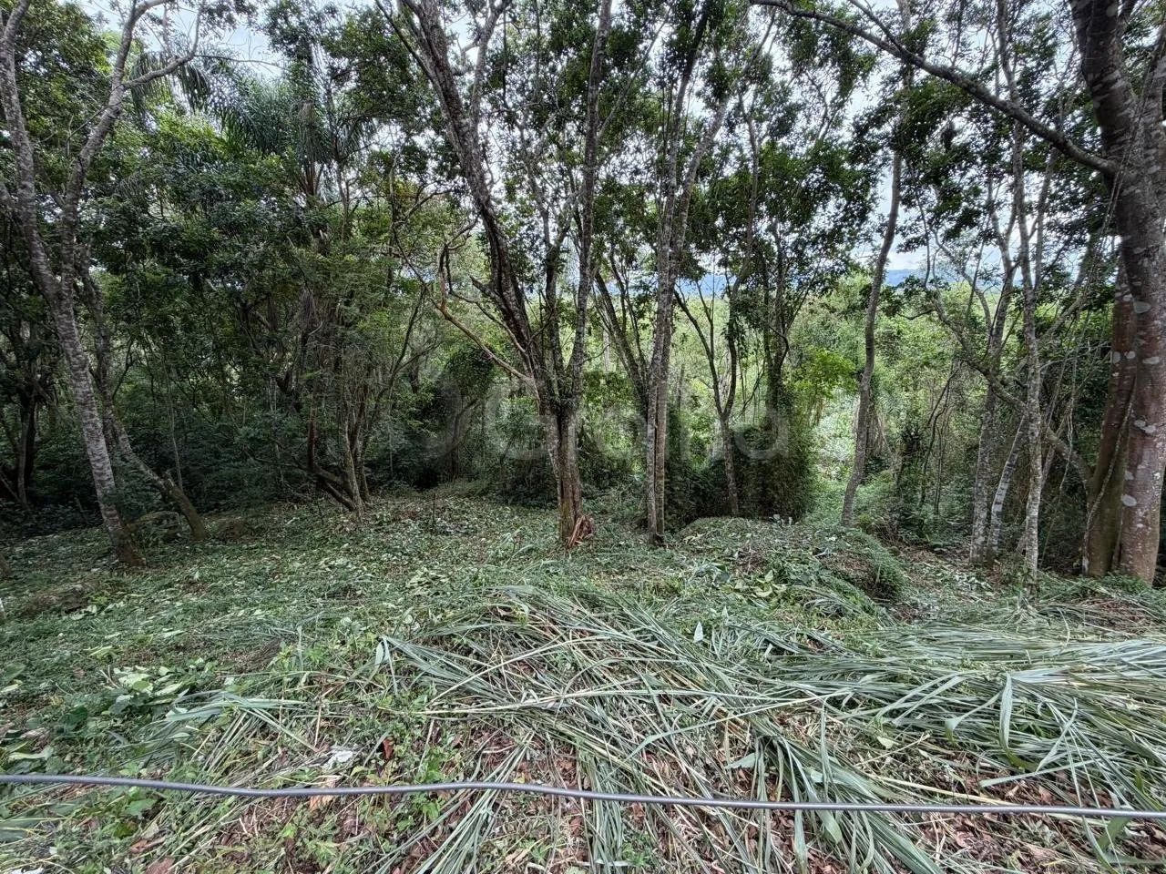 Terreno a venda 4800m² Canto Lamim proximo a Jurere. - Foto 2