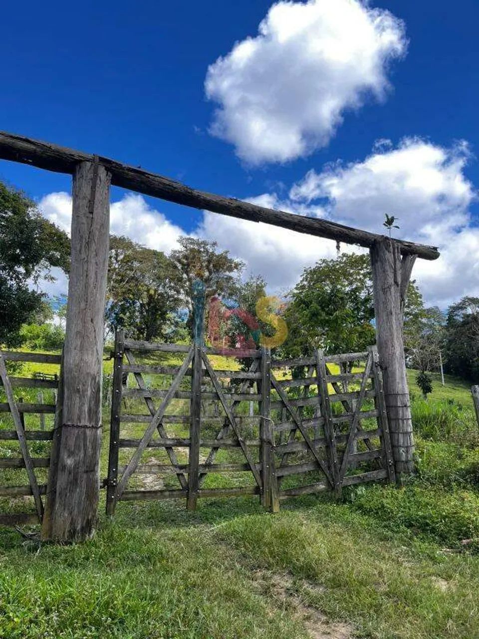 VENDO FAZENDA DE 33ha - URUÇUCA - Foto 2