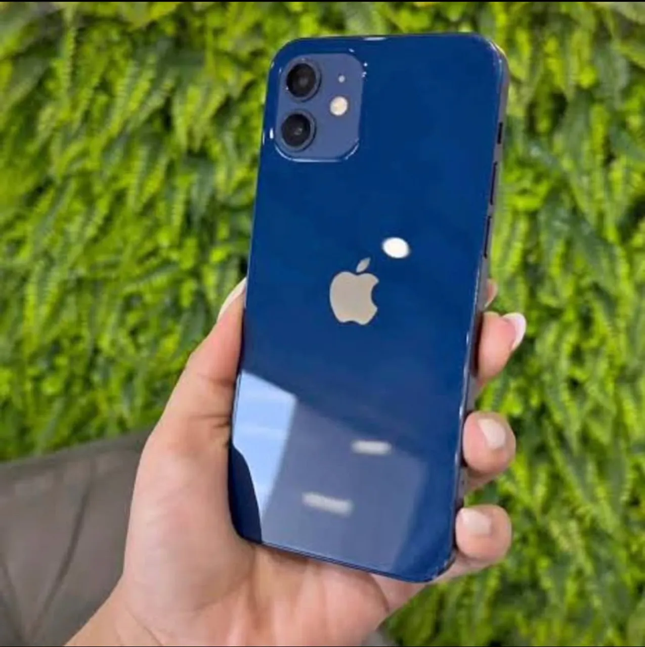 iPhone 12 64G azul em ótimo estado - Celulares e Smartphones