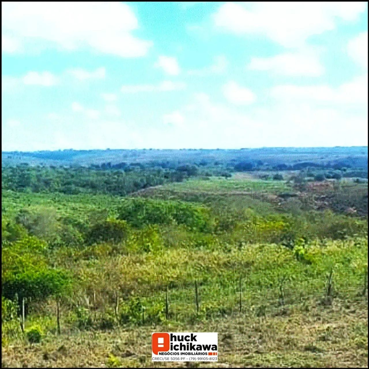 Fazenda de 250 tarefas - Cumbe - Foto 2