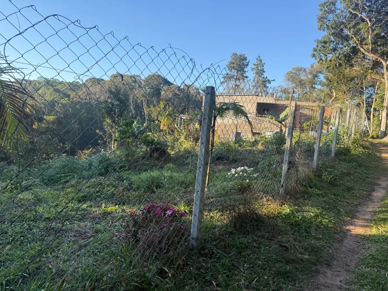 Chácara de 1.000 metros  com casa - Foto 2
