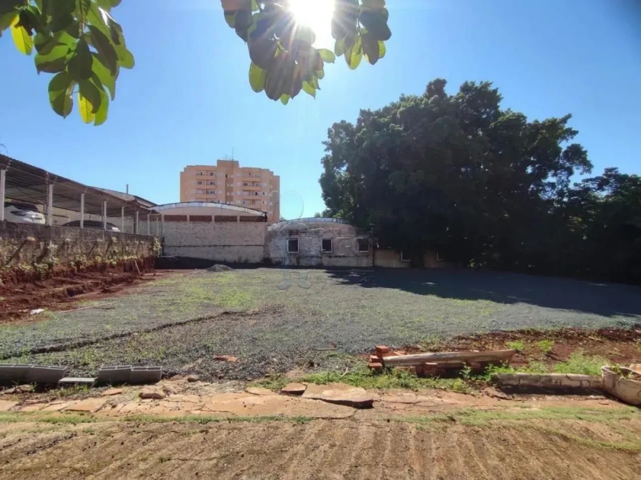 TERRENO NO MONTE ALEGRE - Foto 3