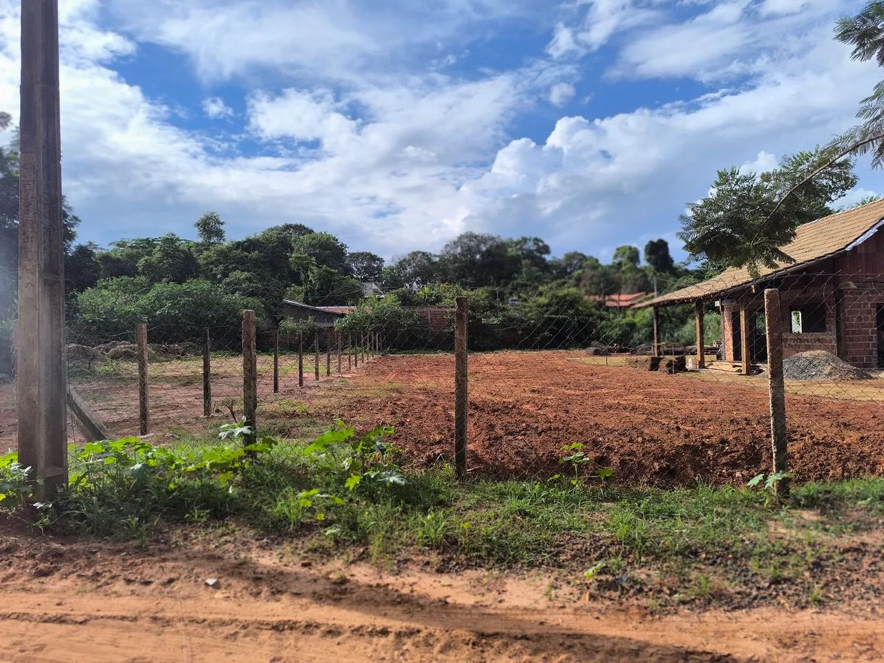 Foto - Cedral - Jardim São Paulo