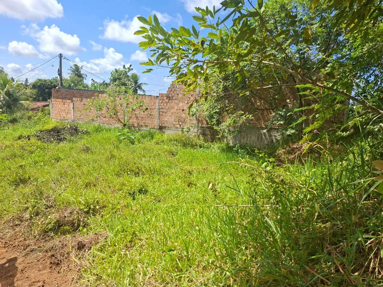 Terreno no Cassange  - Foto 2