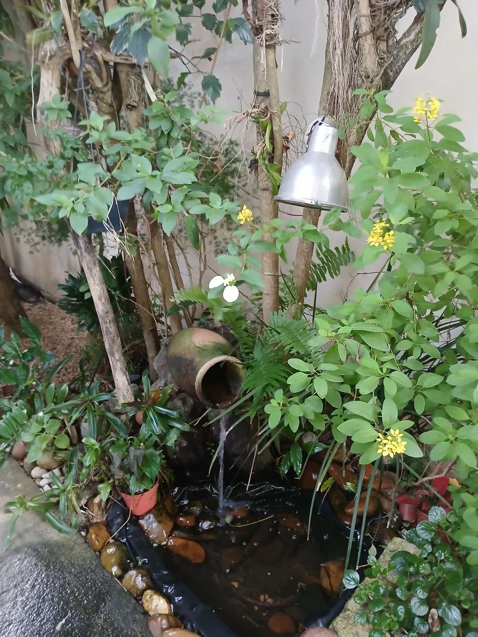 Foto - Vitória - Jardim Camburi