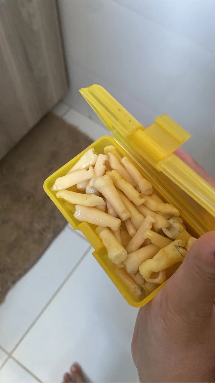 Vendo manequim de dentistica pronew  - Foto 2