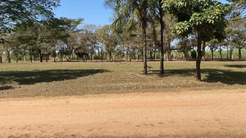 Terreno Condomínio - Foto 2
