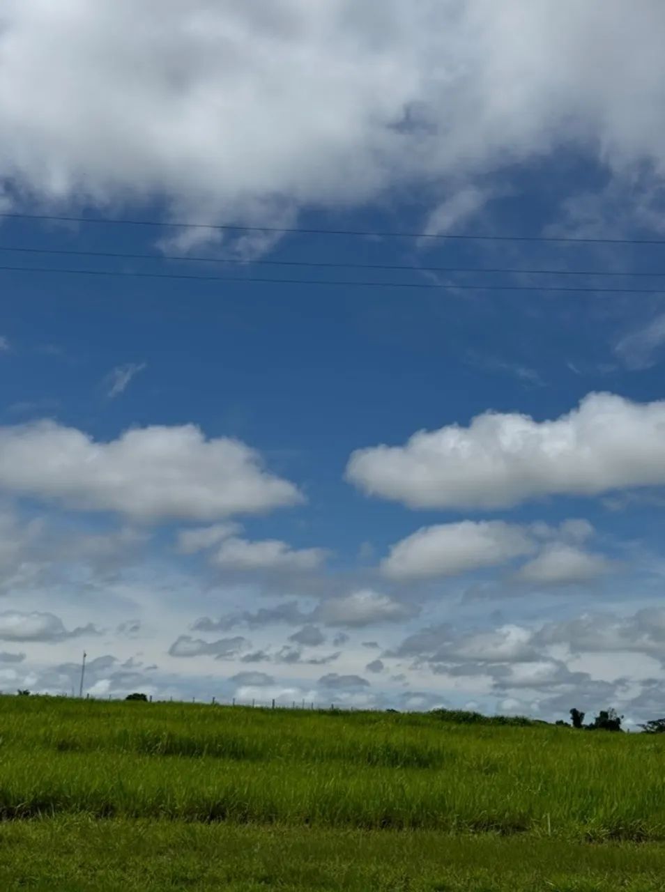 Chácara 1.000 m2 - Foto 2