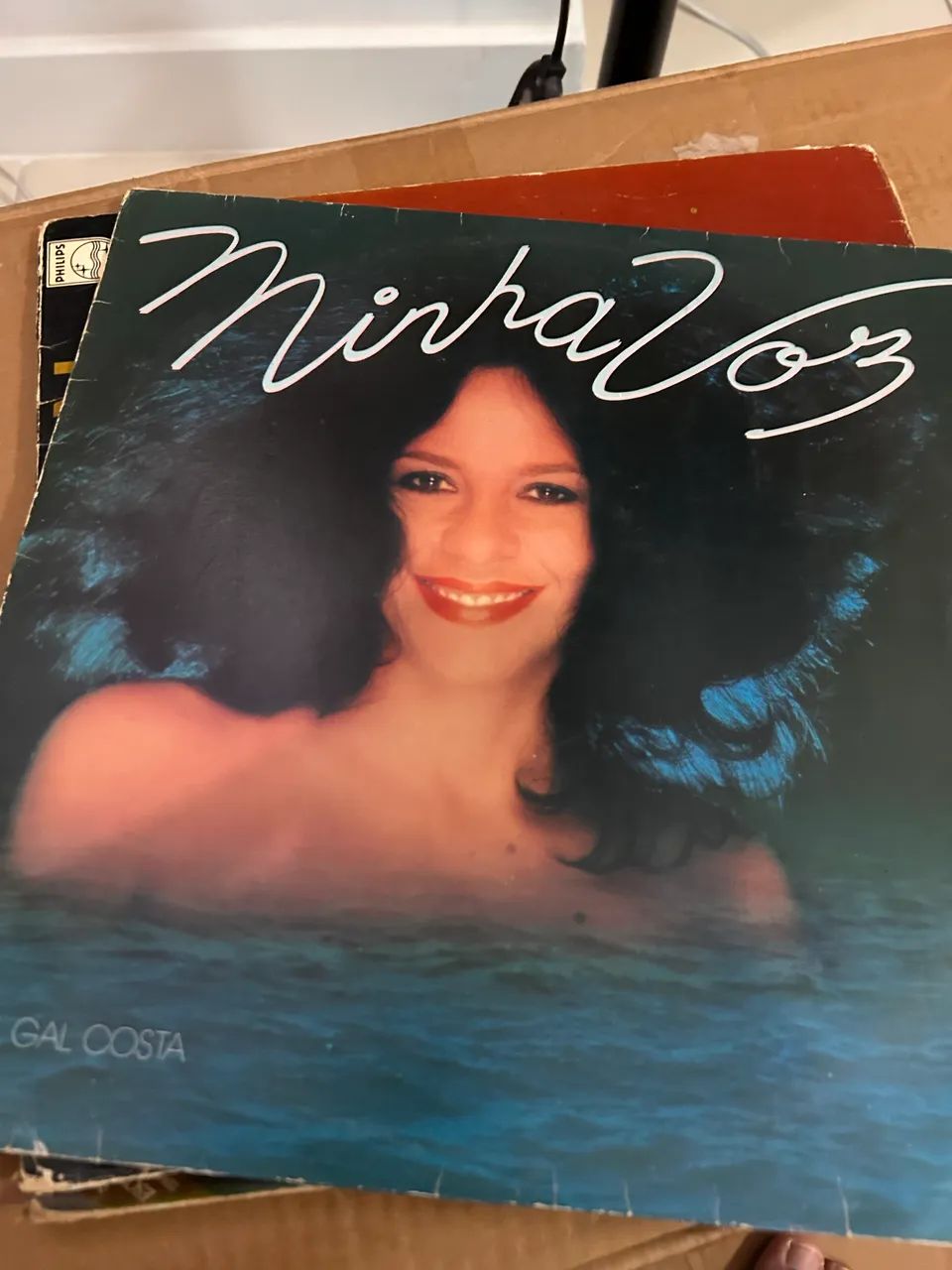 Disco vinil Minha Voz Gal Costa