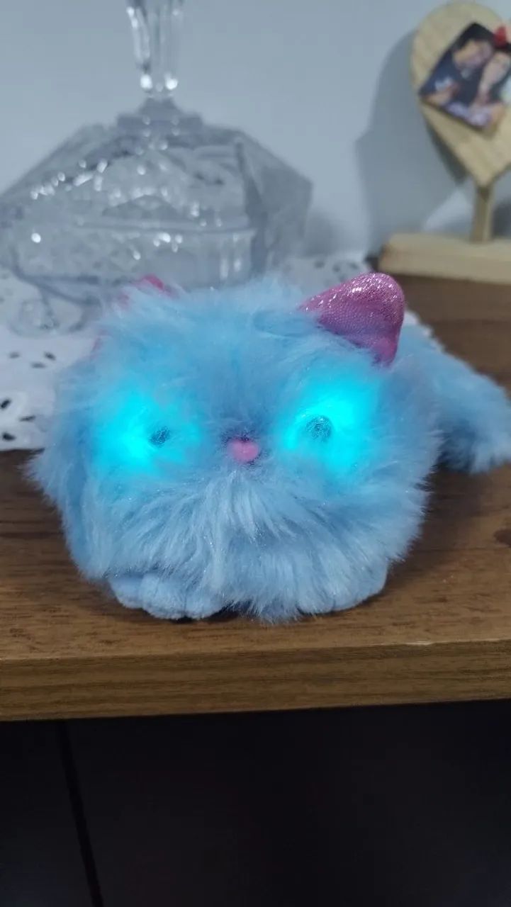 Gatinho Pomsies