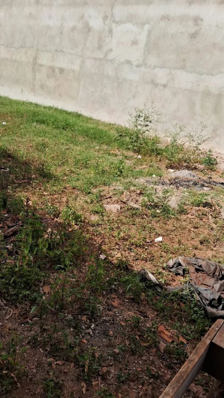 Foto - Barrinha - 