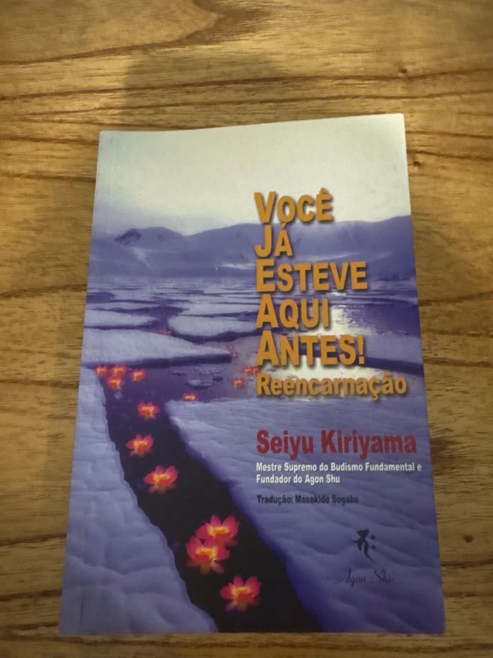 Você já esteve aqui antes! Reencarnação seiyu 