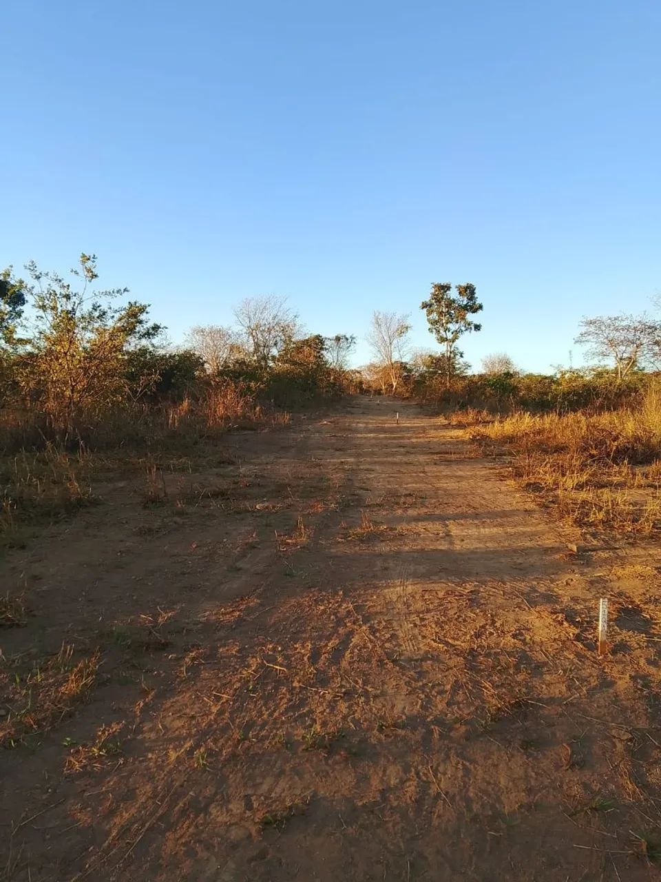 Chácaras  - Foto 3