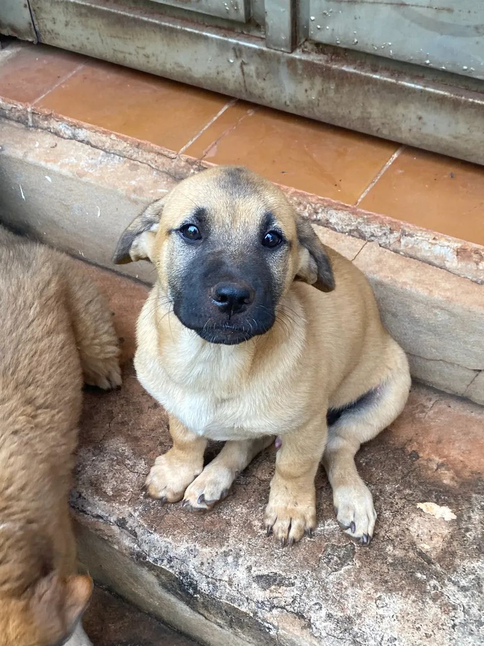Doação  - Foto 3