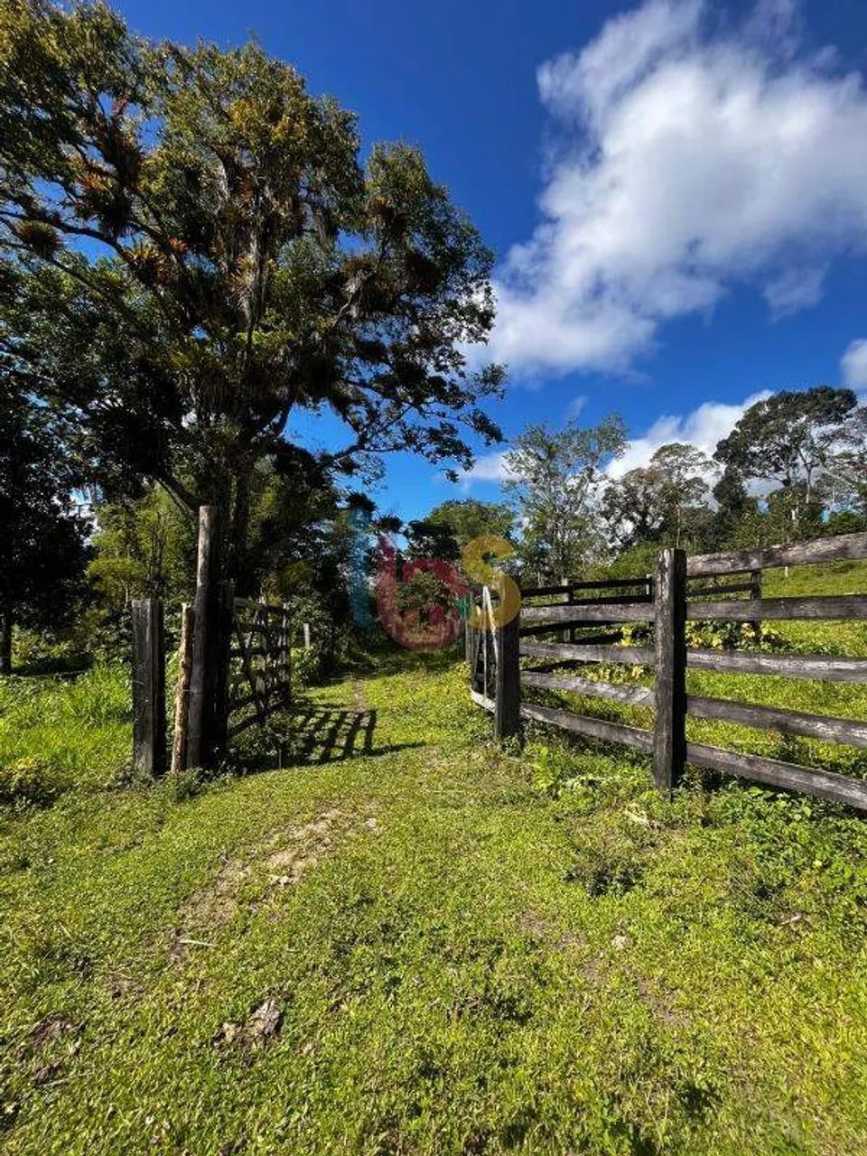 VENDO FAZENDA DE 33ha - URUÇUCA - Foto 5