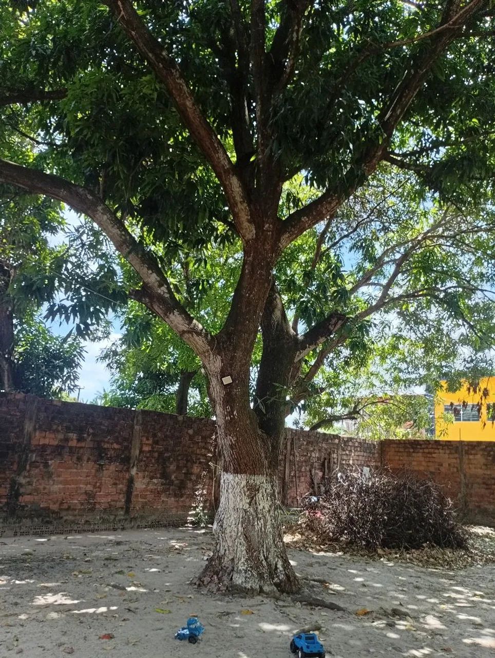 Sítio bem localizado  - Foto 3