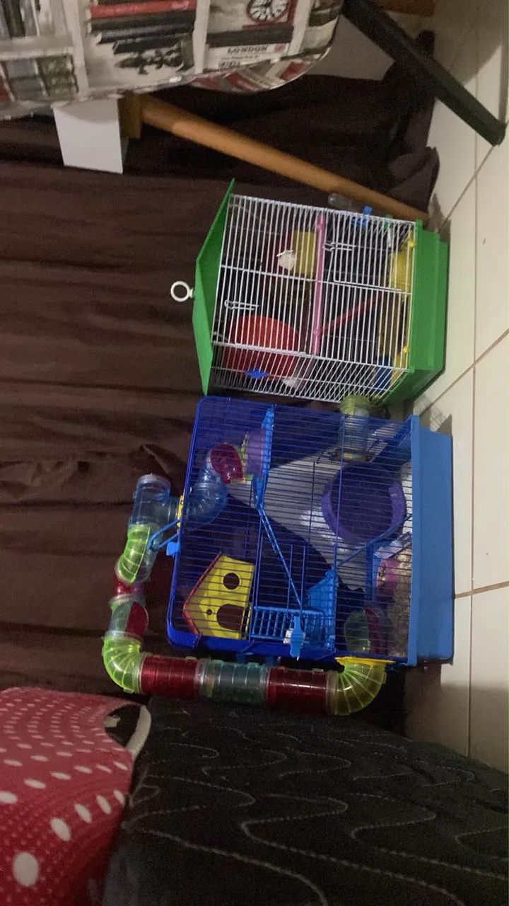 Gaiolas hamster