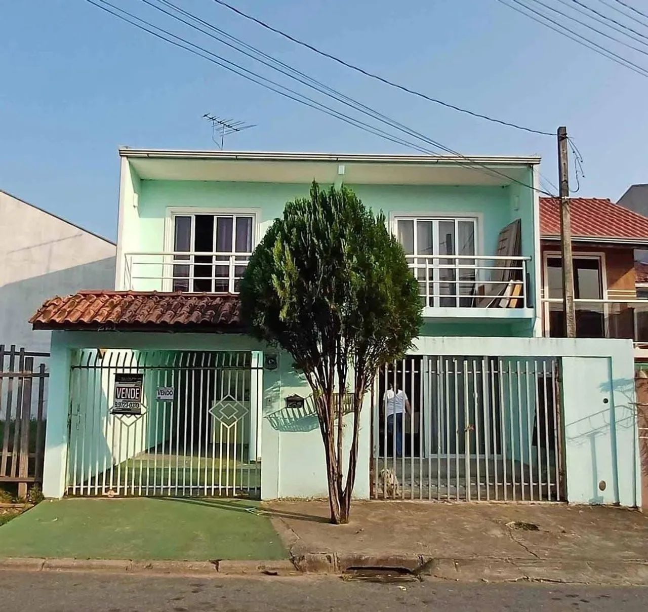 Foto - Araucária - Iguaçu